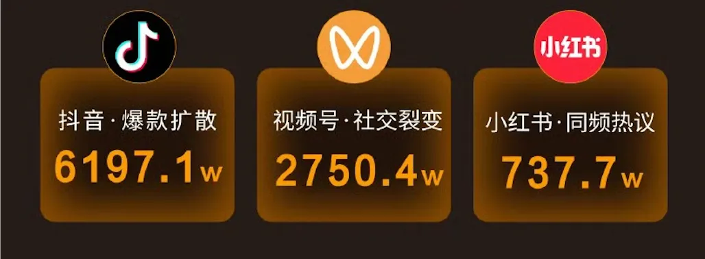 向佐期 · 跨平台传播战报